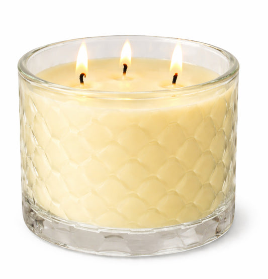 Reviving Enchanting Ember |Citrus Sage|3 Wick 16 oz
